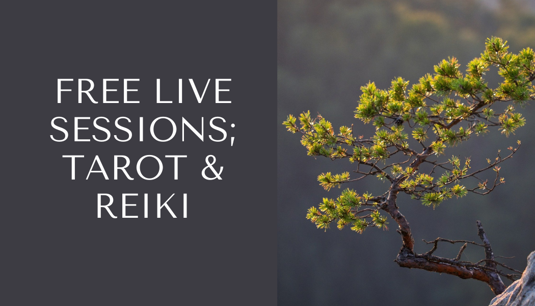 Button: Free live sessions; Tarot and Reiki